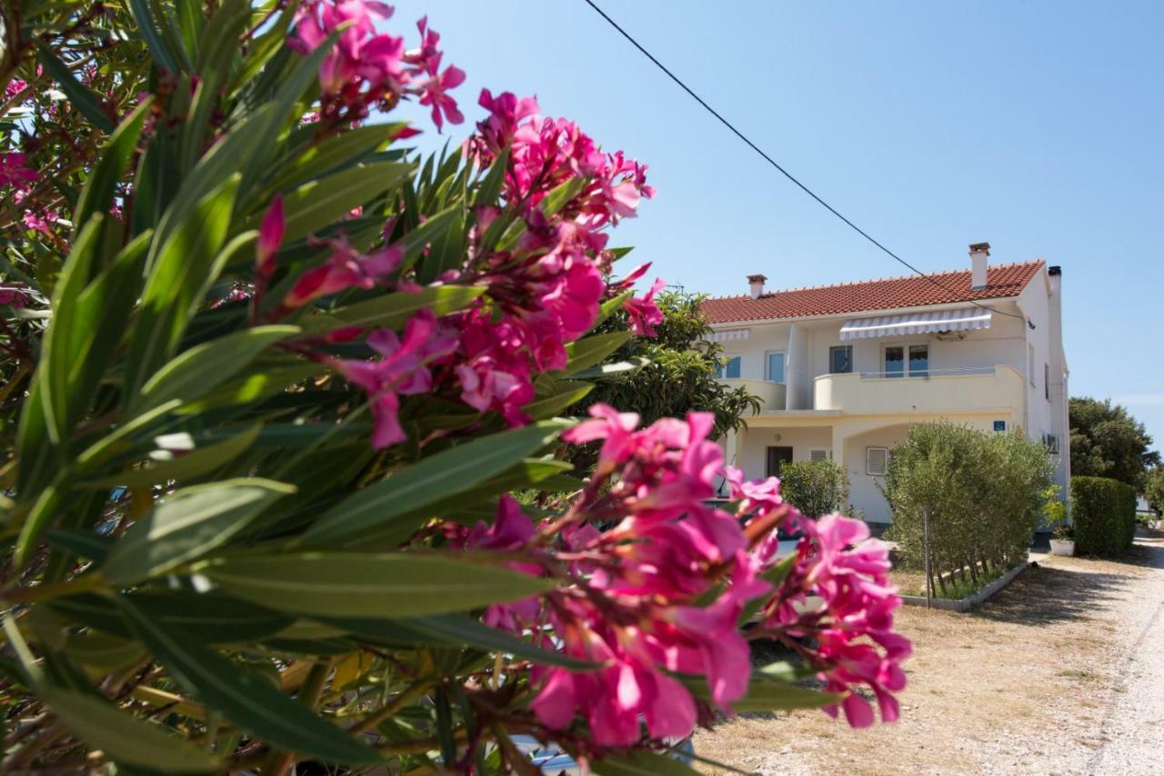 Apartments Maco Petrčane Extérieur photo